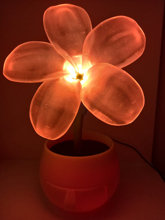 Flower night light buy