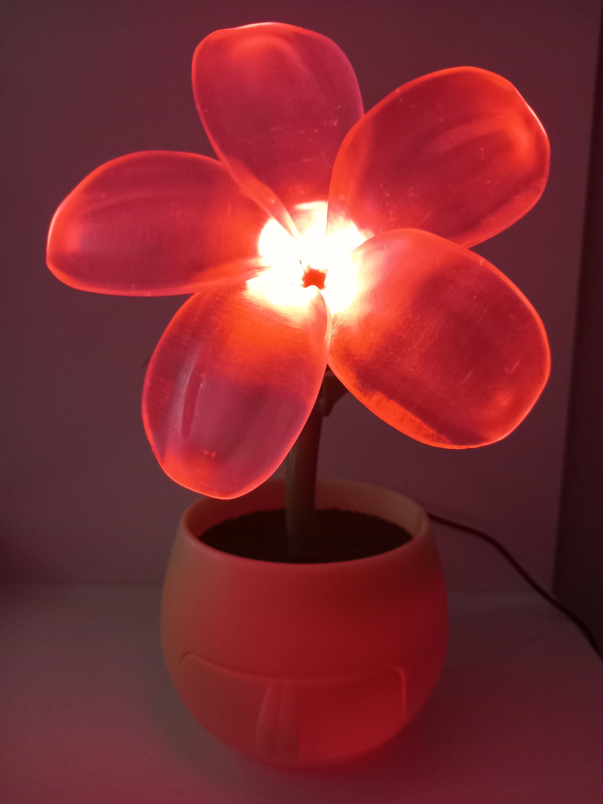 Flower night light buy