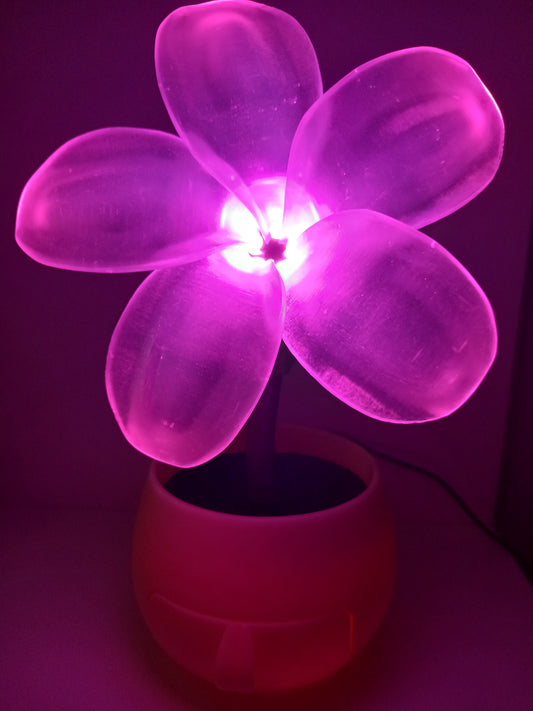 Flower night light buy
